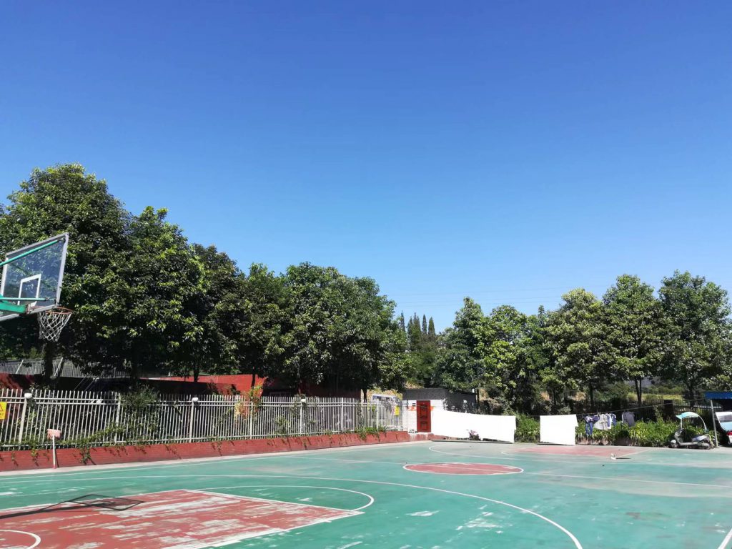 照片